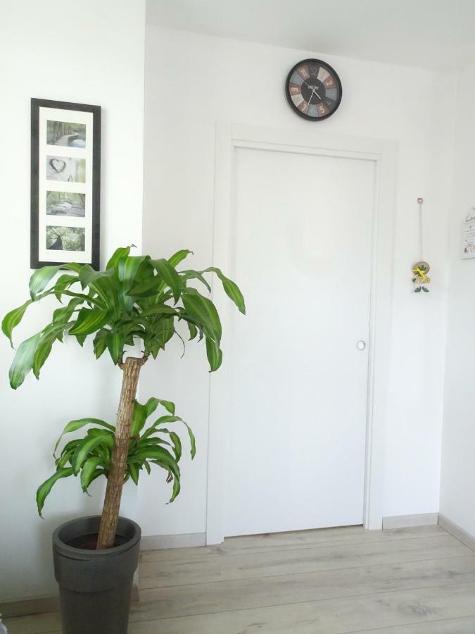 Antica Casa Alboletta Apartment ริวาเดลการ์ดา ภายนอก รูปภาพ